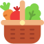 Organic veggie and Fruits Garden icon