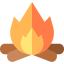 BBQ and Campfire icon